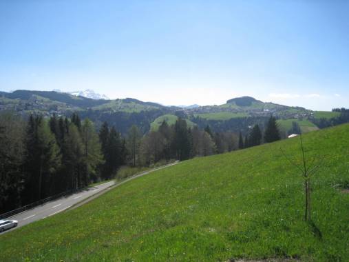 Rehetobel AR, Landwirtschaftsland